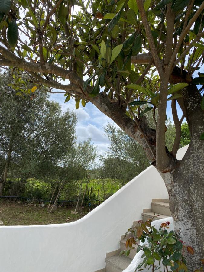 Casa Vacanza Porta Smeralda Ольбия Экстерьер фото