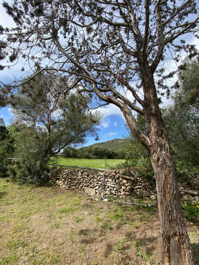 Casa Vacanza Porta Smeralda Ольбия Экстерьер фото