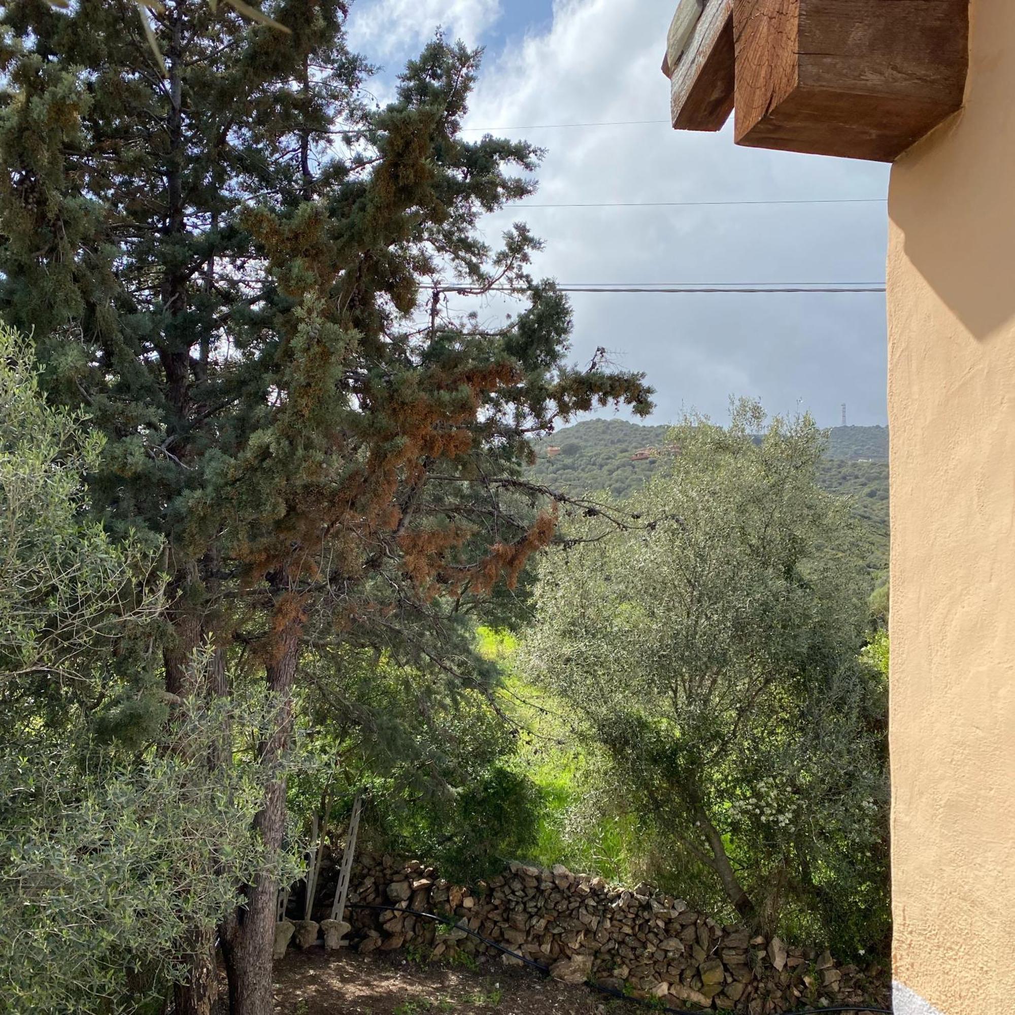 Casa Vacanza Porta Smeralda Ольбия Экстерьер фото